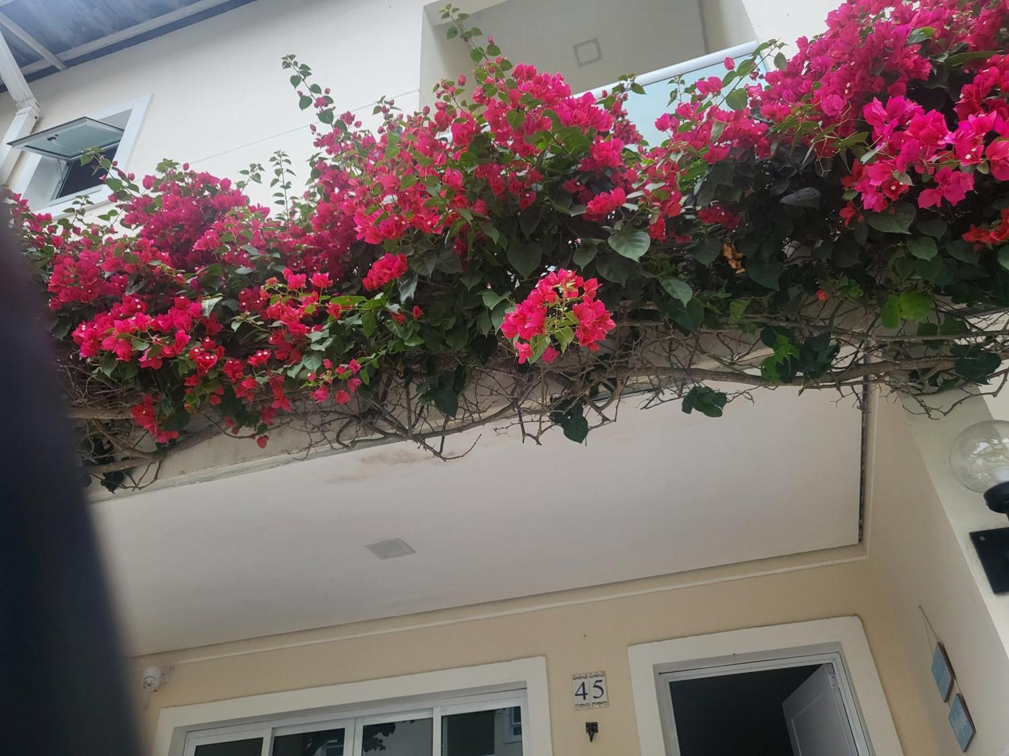Villa Di Prado Juquei Ngoại thất bức ảnh